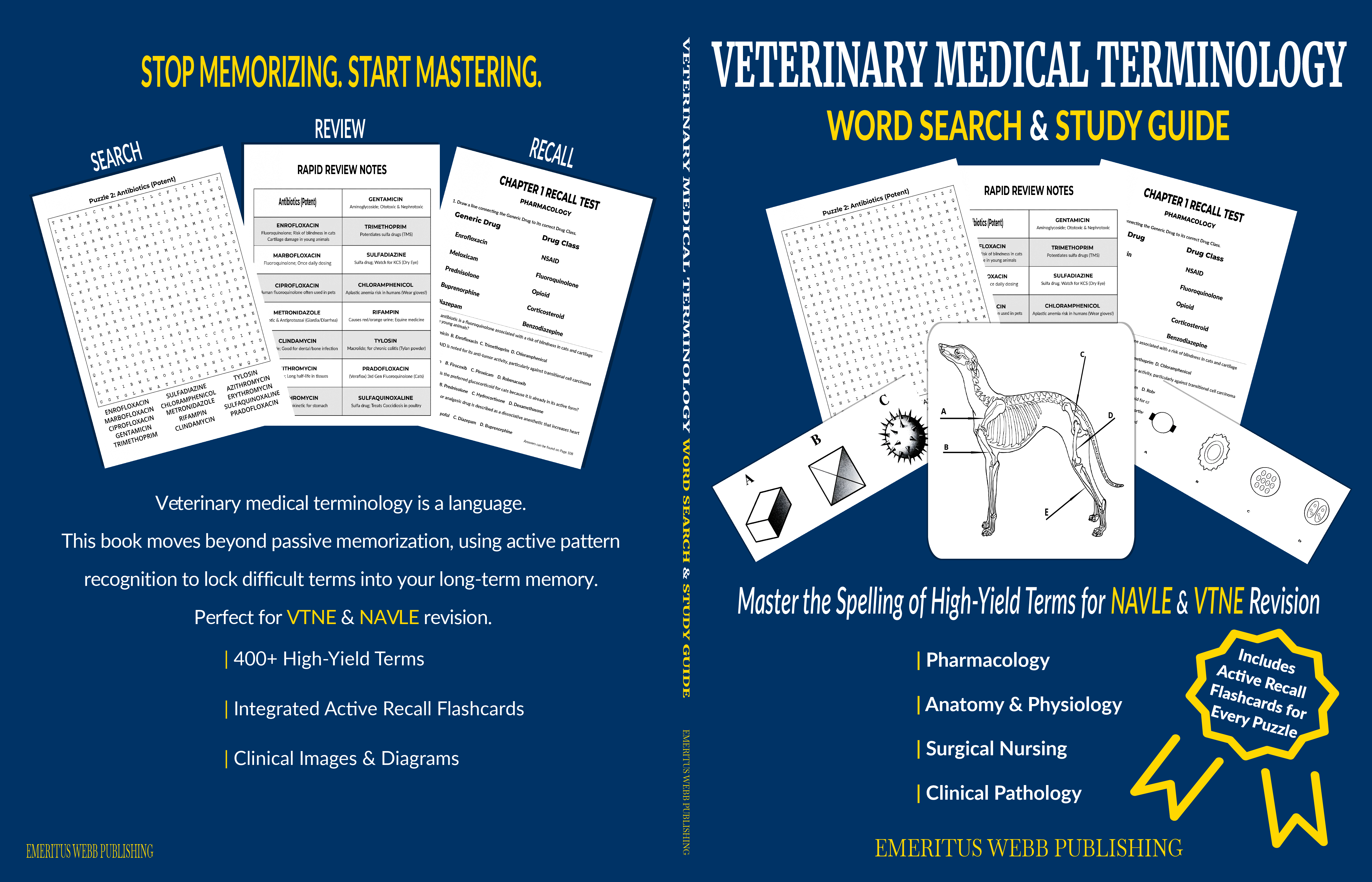 Veterinary Word Search and Study Guide - Front and Back Cover with Flashcards